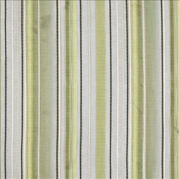Tipton Stripe Fern by Kasmir Fabric 1388 100% Polyester TURKEY Not Tested H: N/A, V: 13 2/8 inches 118 - Fabric Carolina - Kasmir