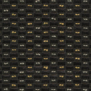 Tivett Onyx by Kasmir Fabric