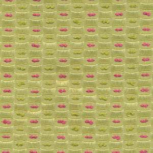 Tivett Spring by Kasmir Fabric