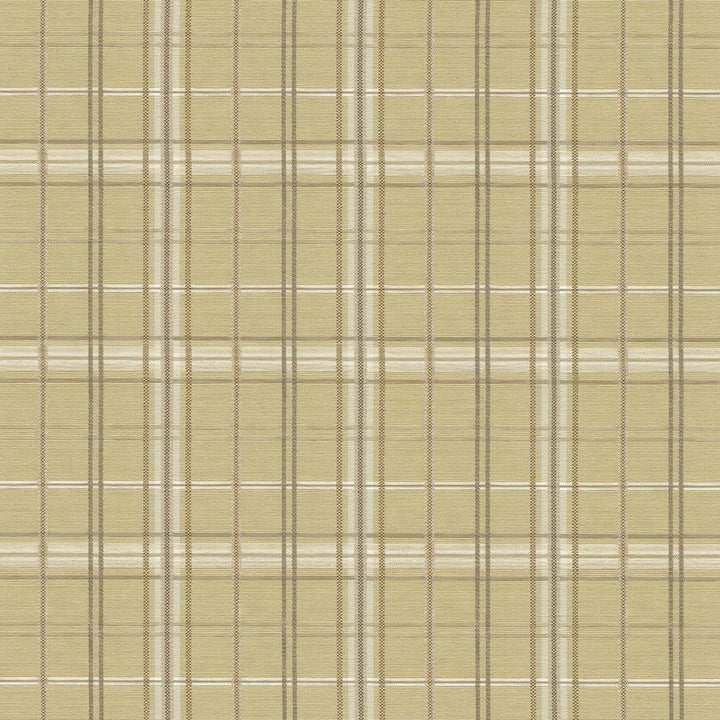 Tobago Plaid Natural by Kasmir Fabric 1421 TAIWAN 30,000 Wyzenbeek Double Rubs H: 4 4/8 inches, V:4 4/8 inches 54 - 55 - Fabric Carolina - Kasmir
