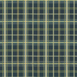 Tobago Plaid Nautical by Kasmir Fabric