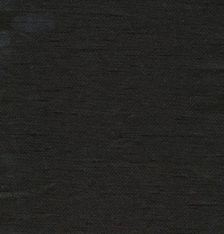 Toccata Black  by Kasmir Fabric See sample 87% Rayon
13% Polyester
 INDIA Not Tested </p><p>Repeat: Horizontal: N/A and Vertical: N/A 54  - Fabric Carolina -