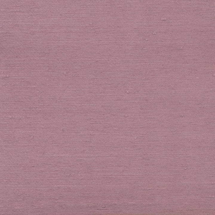 Toccata Blush by Kasmir Fabric 1380 INDIA Not Tested H: N/A, V:N/A 54 - 55 - Fabric Carolina - Kasmir