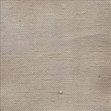 Toccata Champagne by Kasmir Fabric 1380 87% Rayon 13% Polyester INDIA Not Tested H: N/A, V: N/A 54 - 55 - Fabric Carolina - Kasmir