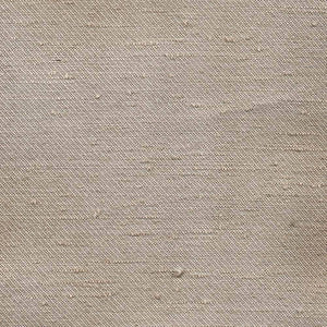 Toccata Champagne by Kasmir Fabric