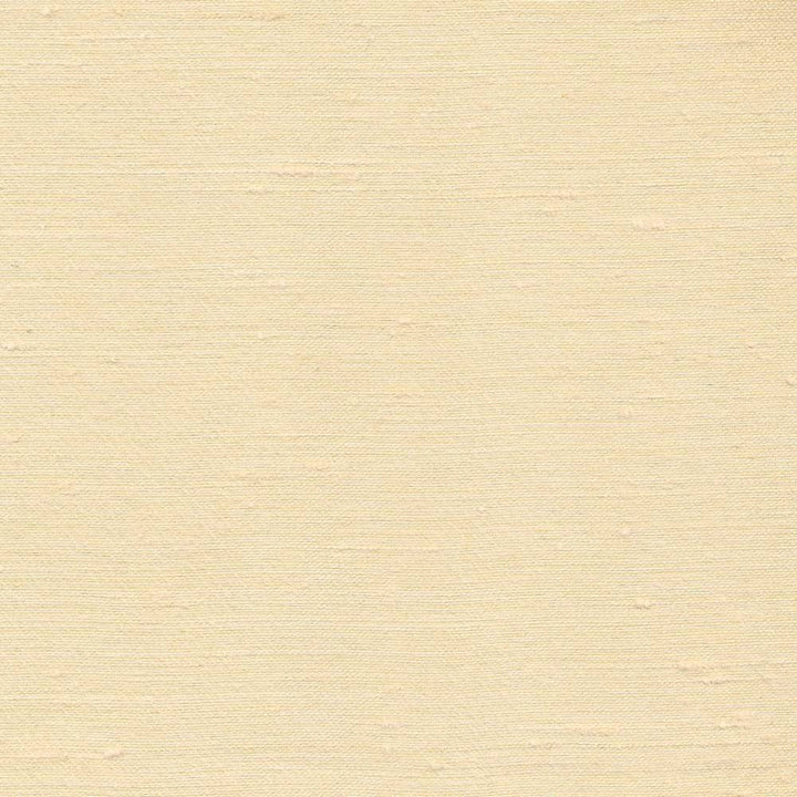 Toccata Coin by Kasmir Fabric 1380 INDIA Not Tested H: N/A, V:N/A 54 - 55 - Fabric Carolina - Kasmir