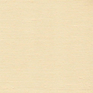 Toccata Coin by Kasmir Fabric