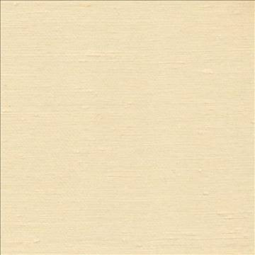 Toccata Coin by Kasmir Fabric 1380 87% Rayon 13% Polyester INDIA Not Tested H: N/A, V: N/A 54 - 55 - Fabric Carolina - Kasmir