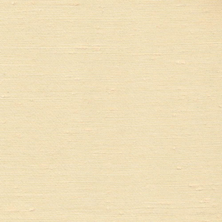 Toccata Coin by Kasmir Fabric 1380 87% Rayon 13% Polyester INDIA Not Tested Horizontal: 0 Inches and Vertical: 0 Inches 54 - 55 - Fabric Carolina -