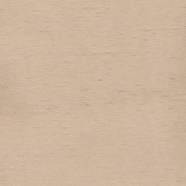 Toccata Latte by Kasmir Fabric 1380 INDIA Not Tested H: N/A, V:N/A 54 - 55 - Fabric Carolina - Kasmir