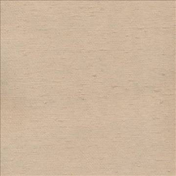 Toccata Latte by Kasmir Fabric 1380 87% Rayon 13% Polyester INDIA Not Tested H: N/A, V: N/A 54 - 55 - Fabric Carolina - Kasmir