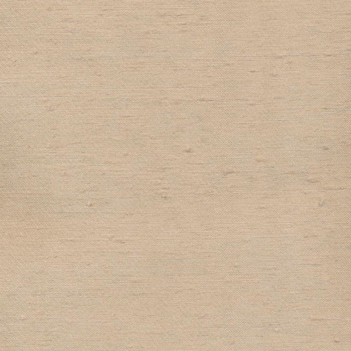 Toccata Latte by Kasmir Fabric 1380 87% Rayon
13% Polyester
 INDIA </p><p>Repeat: Horizontal: N/A and Vertical: N/A 54 - 55 - Fabric Carolina -