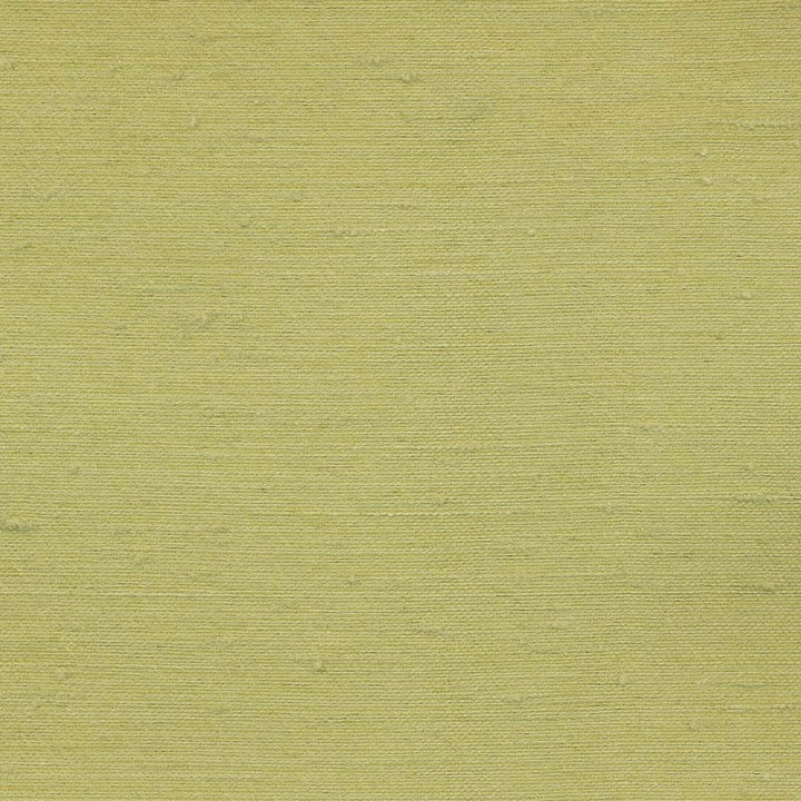 Toccata Leaf  by Kasmir Fabric See sample 87% Rayon
13% Polyester
 INDIA Not Tested </p><p>Repeat: Horizontal: N/A and Vertical: N/A 54  - Fabric Carolina -