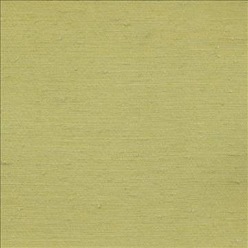 Toccata Leaf by Kasmir Fabric 1380 87% Rayon 13% Polyester INDIA Not Tested H: N/A, V: N/A 54 - 55 - Fabric Carolina - Kasmir