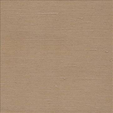 Toccata Natural by Kasmir Fabric 1380 87% Rayon 13% Polyester INDIA Not Tested H: N/A, V: N/A 54 - 55 - Fabric Carolina - Kasmir
