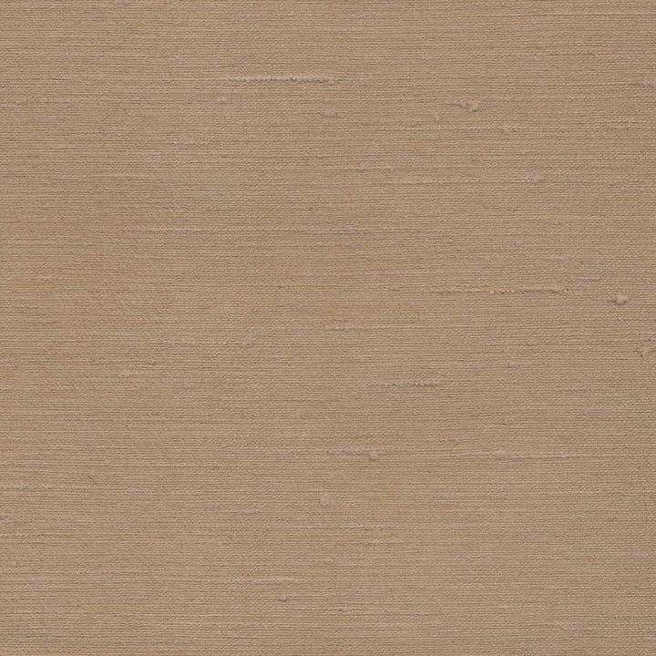 Toccata Natural by Kasmir Fabric 1380 87% Rayon 13% Polyester INDIA Not Tested Horizontal: 0 Inches and Vertical: 0 Inches 54 - 55 - Fabric Carolina -