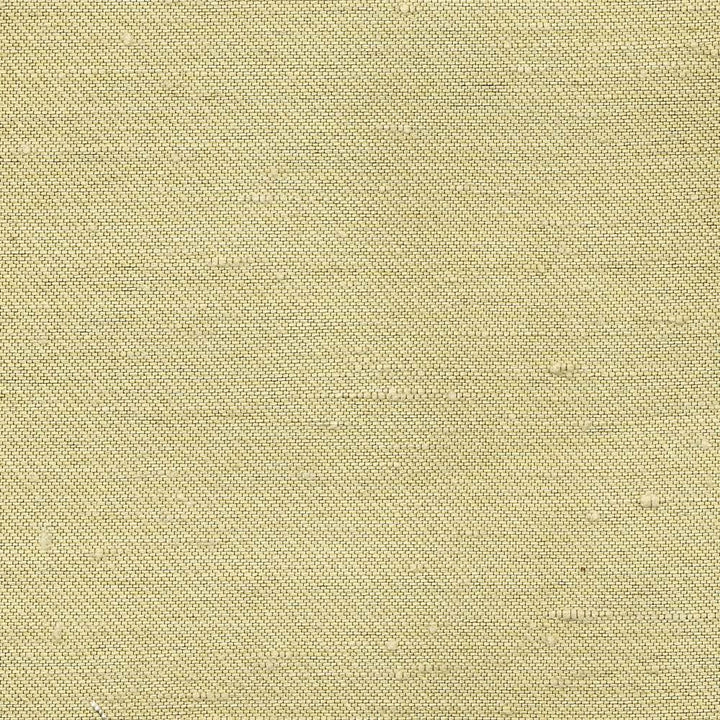 Toccata Pistachio by Kasmir Fabric 1380 87% Rayon
13% Polyester
 INDIA Not Tested Horizontal: N/A and Vertical: N/A 54 - Fabric Carolina -
