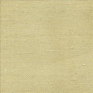 Toccata Pistachio by Kasmir Fabric 1380 87% Rayon 13% Polyester INDIA Not Tested H: N/A, V: N/A 54 - 55 - Fabric Carolina - Kasmir