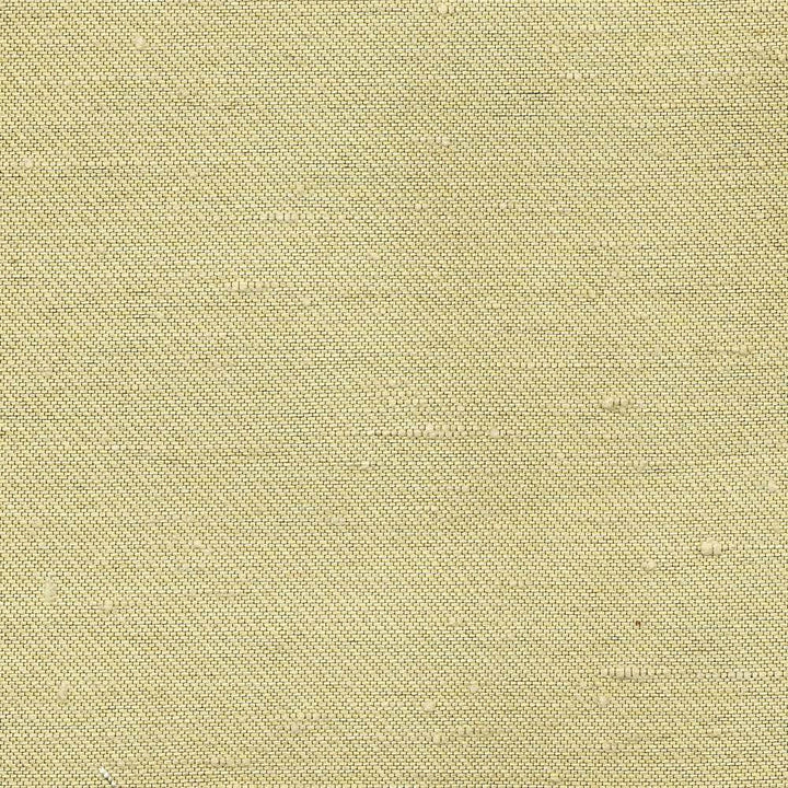 Toccata Pistachio by Kasmir Fabric 1380 INDIA Not Tested H: N/A, V:N/A 54 - 55 - Fabric Carolina - Kasmir