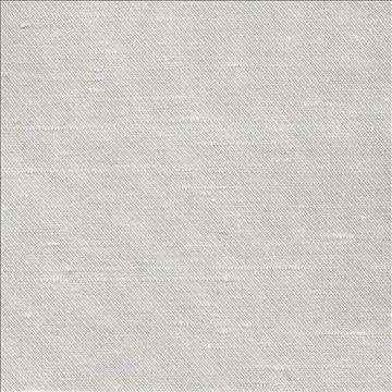 Toccata Platinum by Kasmir Fabric 1380 87% Rayon 13% Polyester INDIA Not Tested H: N/A, V: N/A 54 - 55 - Fabric Carolina - Kasmir