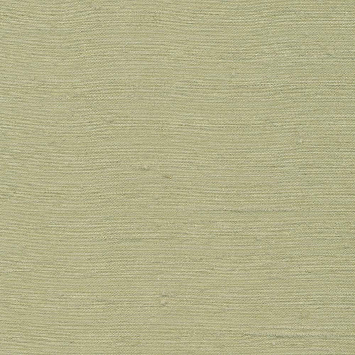 Toccata Stem by Kasmir Fabric 1380 INDIA Not Tested H: N/A, V:N/A 54 - 55 - Fabric Carolina - Kasmir