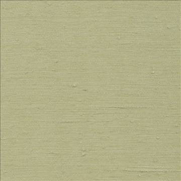 Toccata Stem by Kasmir Fabric 1380 87% Rayon 13% Polyester INDIA Not Tested H: N/A, V: N/A 54 - 55 - Fabric Carolina - Kasmir