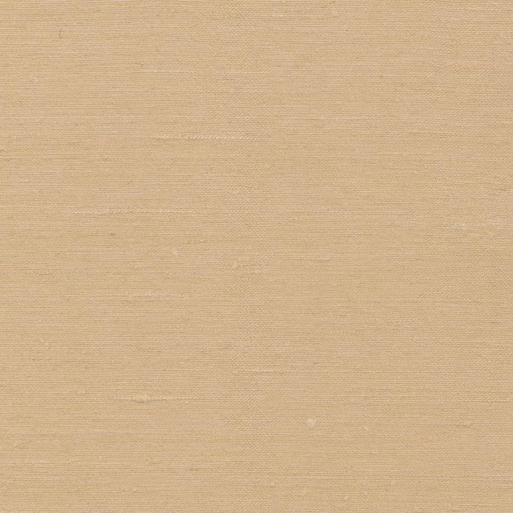 Toccata Treasure by Kasmir Fabric 1380 87% Rayon
13% Polyester
 INDIA </p><p>Repeat: Horizontal: N/A and Vertical: N/A 54 - 55 - Fabric Carolina -
