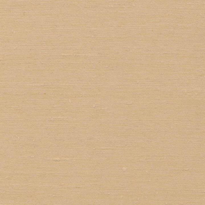 Toccata Treasure by Kasmir Fabric 1380 INDIA Not Tested H: N/A, V:N/A 54 - 55 - Fabric Carolina - Kasmir