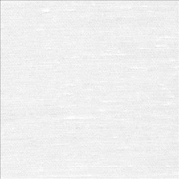 Toccata White by Kasmir Fabric 1380 87% Rayon 13% Polyester INDIA Not Tested H: N/A, V: N/A 54 - 55 - Fabric Carolina - Kasmir