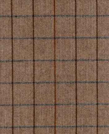 Torino Sienna By Roth & Tompkins Fabric