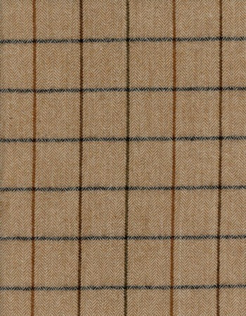 Torino Toffee By Roth & Tompkins Fabric