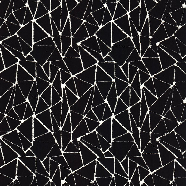 Trajectory Black  by Kasmir Fabric 1473 88% Viscose 12% Polyester  INDIA  </p><p>Repeat: Horizontal: 7 2/8 inches and Vertical: 7 6/8 inches 59  - Fabric Carolina -