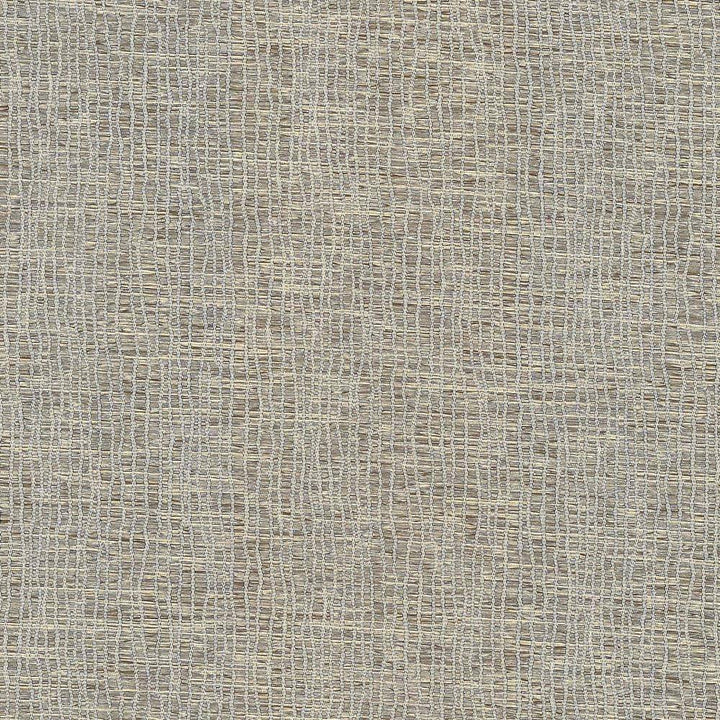 Trickle Down Rattan by Kasmir Fabric 5066 INDIA 30,000 Wyzenbeek Double Rubs H: N/A, V:N/A 54 - 55 - Fabric Carolina - Kasmir