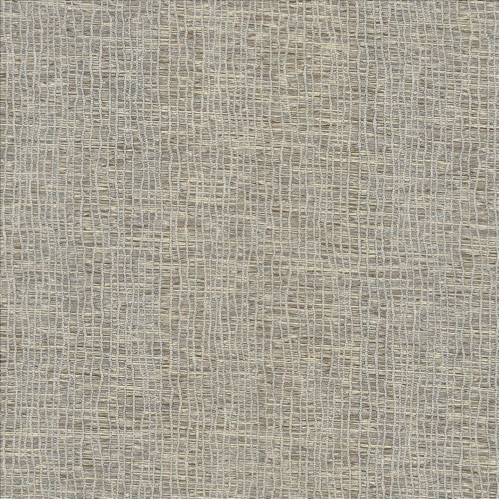 Trickle Down Rattan by Kasmir Fabric 5066 100% Polyester
 INDIA 30,000 Wyzenbeek Double Rubs Horizontal: N/A and Vertical: N/A 54 - Fabric Carolina -