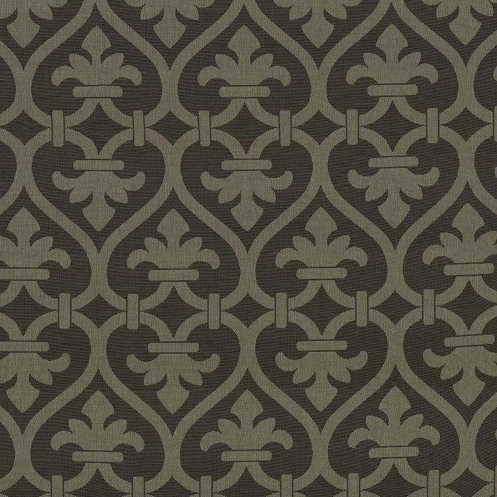 Triomphe Truffle by Kasmir Fabric 1424 97% Cotton 3% Polyester USA 48,000 Wyzenbeek Double Rubs Horizontal: 13 4/8 inches and Vertical: 38 3/8 inches 60 - 61 - Fabric Carolina -