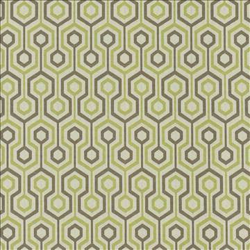 Trivago Olive by Kasmir Fabric 5090 62% Cotton 38% Polyester CHINA 30,000 Wyzenbeek Double Rubs H: 2 2/8 inches, V: 6 6/8 inches 54 - Fabric Carolina - Kasmir