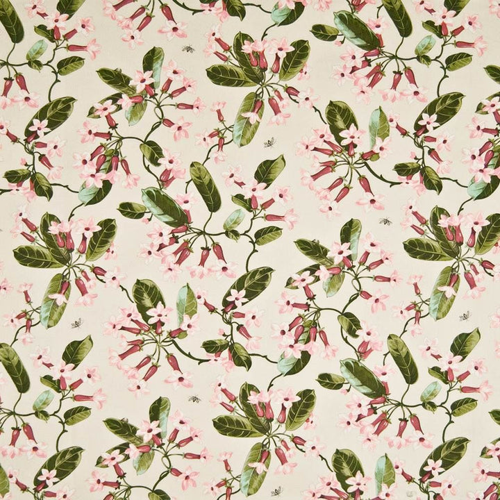 Trumpet Glory Frost by Kasmir Fabric 1389 100% Cotton
 PERU 15,000 Wyzenbeek Double Rubs Horizontal: 13 4/8 inches and Vertical: 25 2/8 inches 54 - Fabric Carolina -