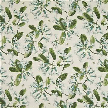 Trumpet Glory Morning Dew by Kasmir Fabric 1390 100% Cotton PERU 15,000 Wyzenbeek Double Rubs H: 13 4/8 inches, V: 25 2/8 inches 54 - Fabric Carolina - Kasmir