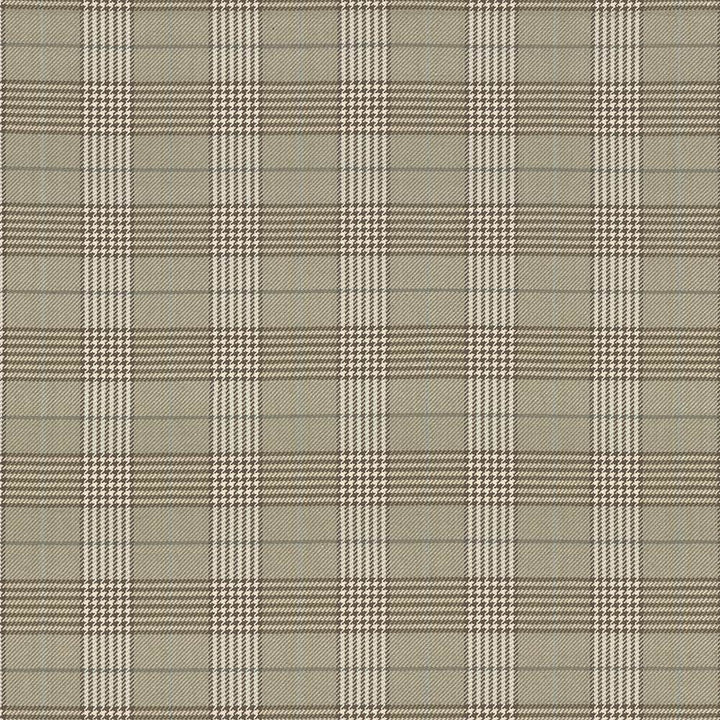Tuckerton Sand by Kasmir Fabric 1433 100% Cotton
 INDIA </p><p>Repeat: Horizontal: 4 3/8 inches and Vertical: 4 7/8 inches 53 - 54 - Fabric Carolina -
