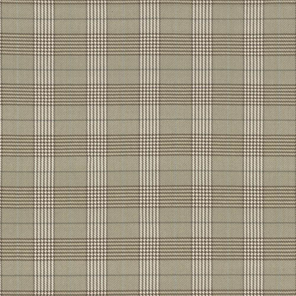Tuckerton Sand  by Kasmir Fabric See sample 100% Cotton
 INDIA 12,000 Wyzenbeek Double Rubs </p><p>Repeat: Horizontal: 4 3/8 inches and Vertical: 4 7/8 inches 53  - Fabric Carolina -