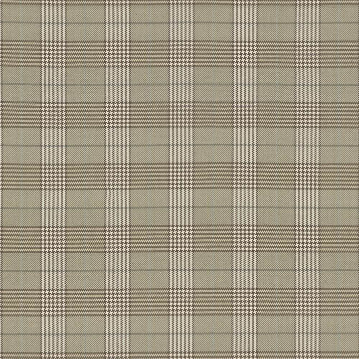 Tuckerton Sand  by Kasmir Fabric See sample 100% Cotton
 INDIA 12,000 Wyzenbeek Double Rubs </p><p>Repeat: Horizontal: 4 3/8 inches and Vertical: 4 7/8 inches 53  - Fabric Carolina -