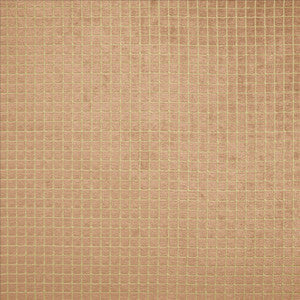 Tuft Nude by Kasmir Fabric