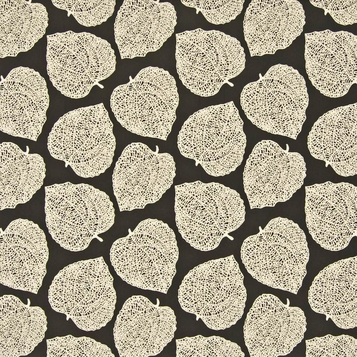 Tumbler Ebony by Kasmir Fabric 1369 56% Acrylic
44% Polyester
 CHINA 50,000 Wyzenbeek Double Rubs </p><p>Repeat: Horizontal: 13 4/8 inches and Vertical: 16 4/8 inches 54 - Fabric Carolina -