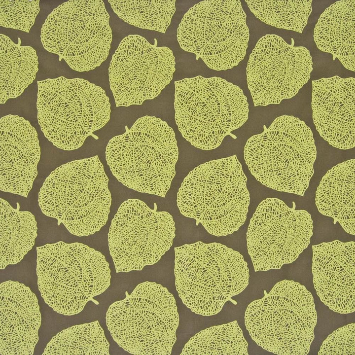 Tumbler Rainforest by Kasmir Fabric 1369 56% Acrylic
44% Polyester
 CHINA 50,000 Wyzenbeek Double Rubs </p><p>Repeat: Horizontal: 13 4/8 inches and Vertical: 16 4/8 inches 54 - Fabric Carolina -