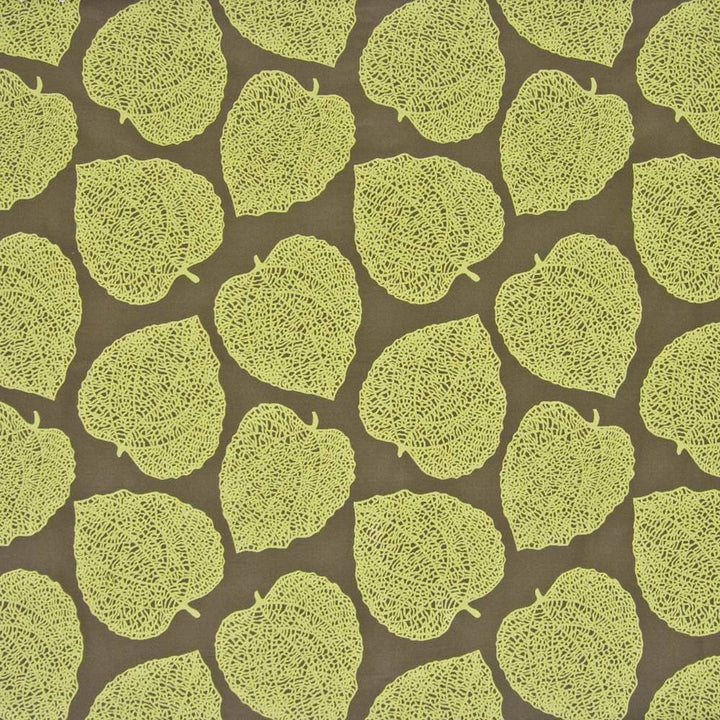 Tumbler Rainforest by Kasmir Fabric 1369 CHINA 50,000 Wyzenbeek Double Rubs H: 13 4/8 inches, V:16 4/8 inches 54 - 55 - Fabric Carolina - Kasmir