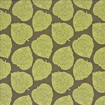 Tumbler Rainforest by Kasmir Fabric 1369 56% Acrylic 44% Polyester CHINA 50,000 Wyzenbeek Double Rubs H: 13 4/8 inches, V: 16 4/8 inches 54 - 55 - Fabric Carolina - Kasmir