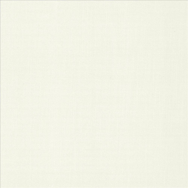Tundra Chalk by Kasmir Fabric 5161 100% Polyester CHINA 51,000 Wyzenbeek Double Rubs Horizontal: 0 Inches and Vertical: 0 Inches 55 - Fabric Carolina -