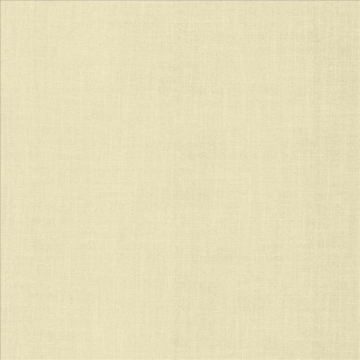 Tundra Coconut by Kasmir Fabric 5161 100% Polyester
 CHINA </p><p>Repeat: Horizontal: N/A and Vertical: N/A 55 - Fabric Carolina -