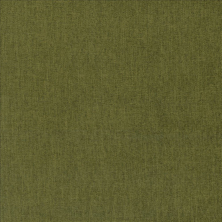 Tundra Dill by Kasmir Fabric 5161 100% Polyester
 CHINA 51,000 Wyzenbeek Double Rubs </p><p>Repeat: Horizontal: N/A and Vertical: N/A 55 - Fabric Carolina -