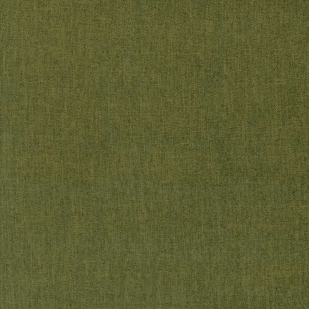Tundra Dill by Kasmir Fabric 5161 100% Polyester
 CHINA </p><p>Repeat: Horizontal: N/A and Vertical: N/A 55 - Fabric Carolina -